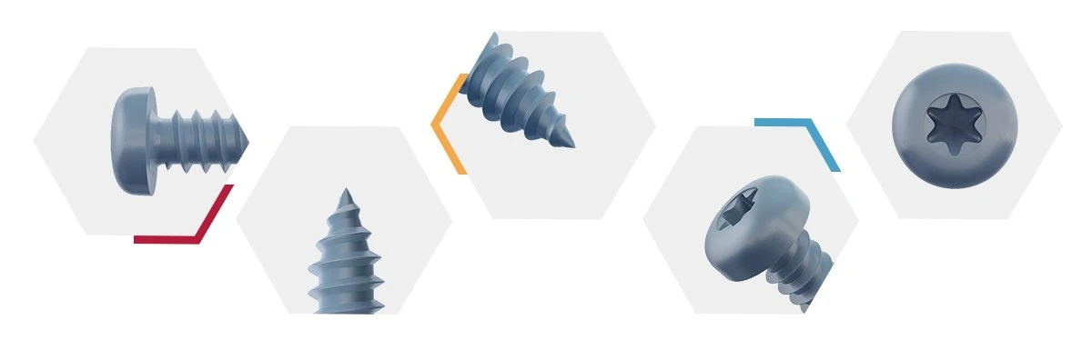 Torx Pan Head Self Tapping Screws-detail