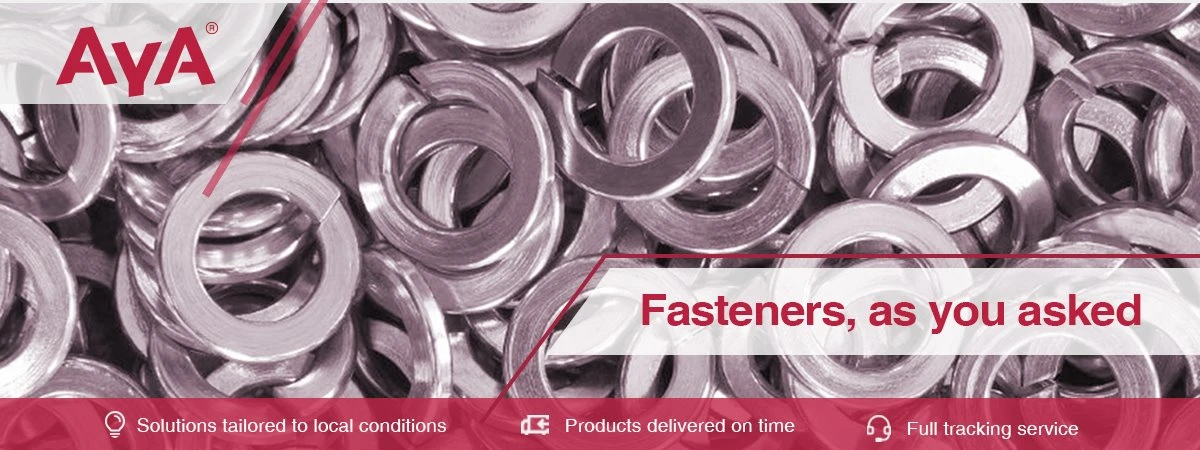 Stainless Steel Spring Washer-AYA